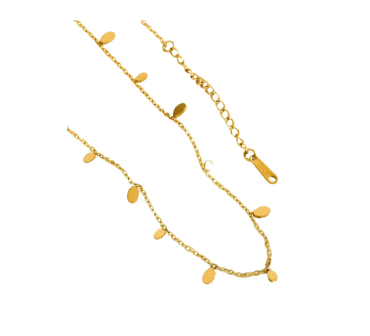 Ketting kleine muntjes goud